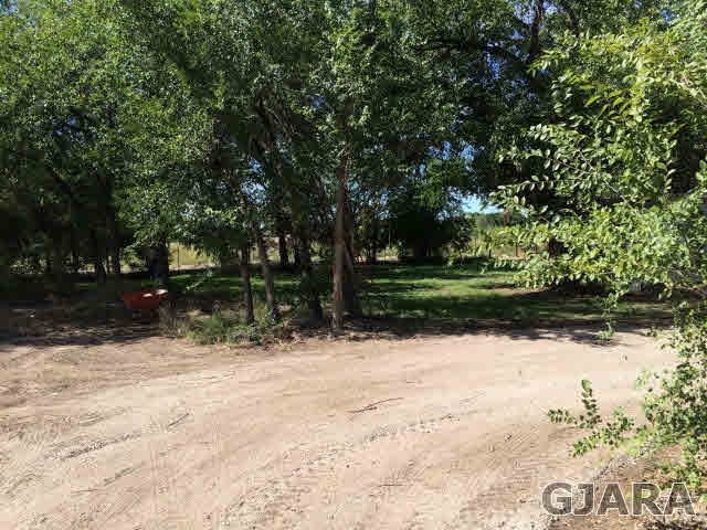 571 29 Road Grand Junction, CO 81501 - Photo 11 of 19 a pathway of a yard