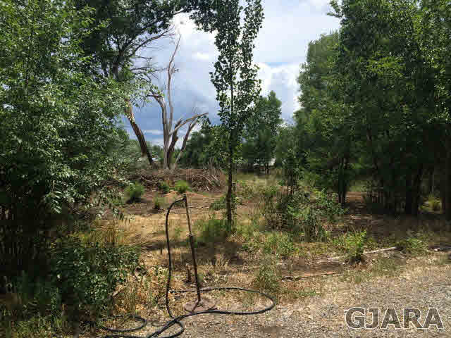571 29 Road Grand Junction, CO 81501 - Photo 3 of 19 a backyard of a house with lots of green space and a fountain