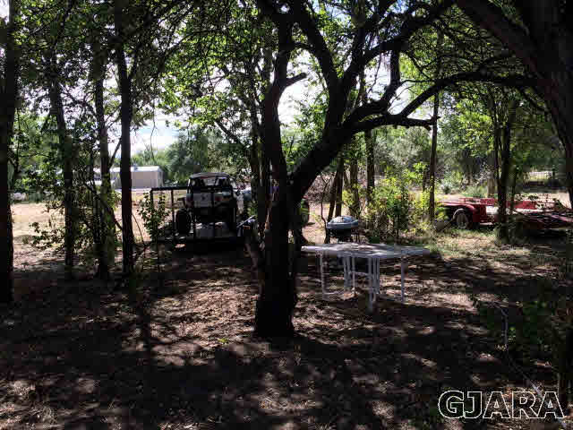 571 29 Road Grand Junction, CO 81501 - Photo 9 of 19 a view of outdoor space with lots of trees