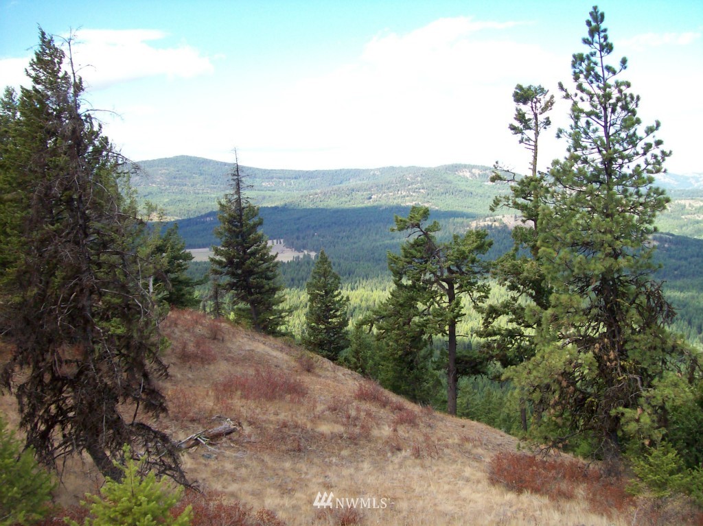 -tbd Tbd Franson Peak Lookout Road Curlew, WA 99118 - Photo 1 of 5 Gallery Image 1