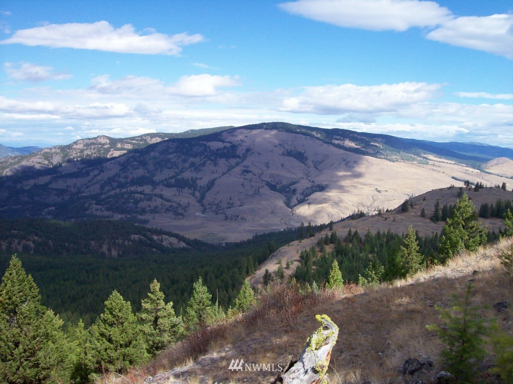 -tbd Tbd Franson Peak Lookout Road Curlew, WA 99118 - Photo 2 of 5 Gallery Image 2