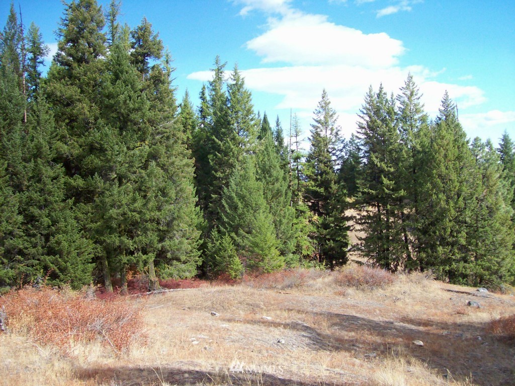 -tbd Tbd Franson Peak Lookout Road Curlew, WA 99118 - Photo 3 of 5 Gallery Image 3