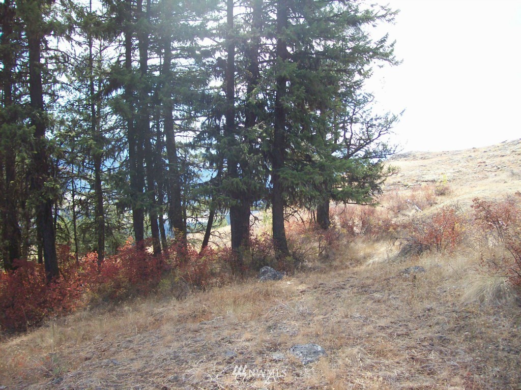 -tbd Tbd Franson Peak Lookout Road Curlew, WA 99118 - Photo 4 of 5 Gallery Image 4
