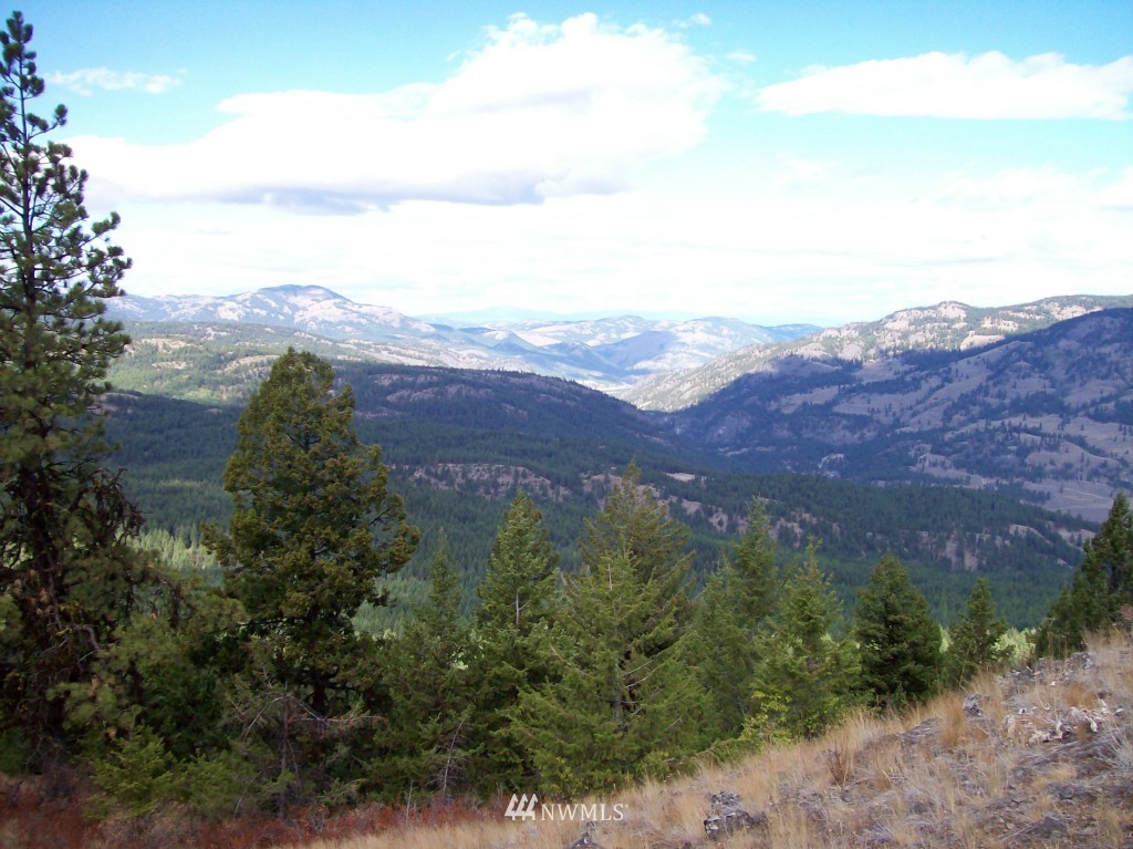 -tbd Tbd Franson Peak Lookout Road Curlew, WA 99118 - Photo 5 of 5 Gallery Image 5