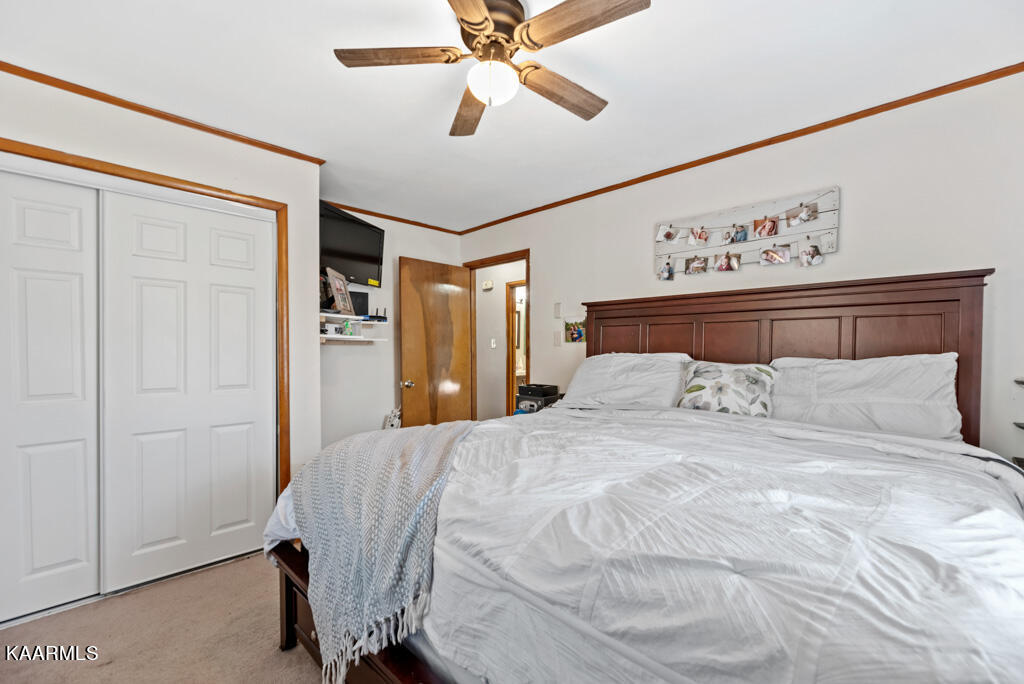 313 Foust Carney Road Powell, TN 37849 - Photo 13 of 27 FstCrny313 (51)