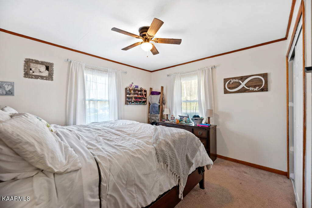 313 Foust Carney Road Powell, TN 37849 - Photo 14 of 27 FstCrny313 (48)