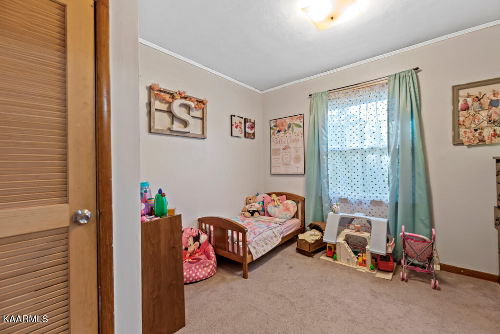 313 Foust Carney Road Powell, TN 37849 - Photo 17 of 27 FstCrny313 (54)
