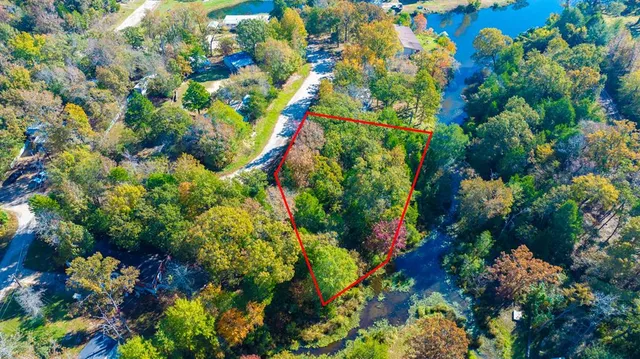 a picture of flowers