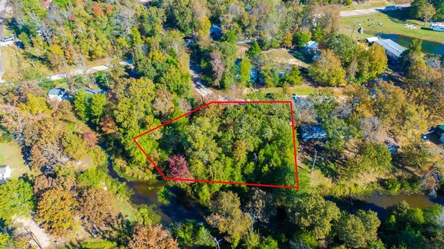 a backyard of a tree