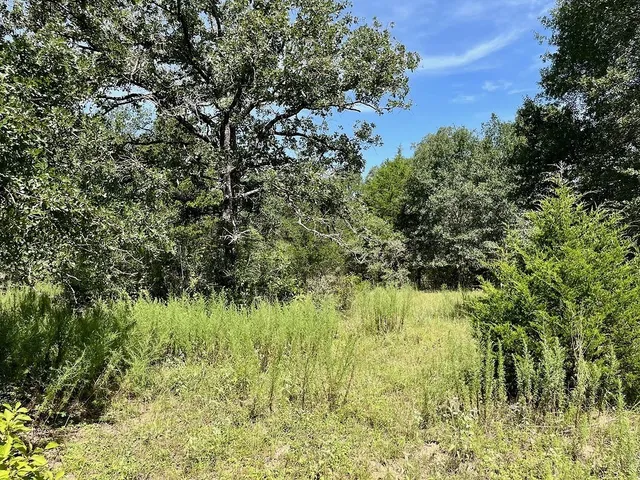 $229,000 | 90a Sheridan Tx 77475, Hallettsville, TX 77964