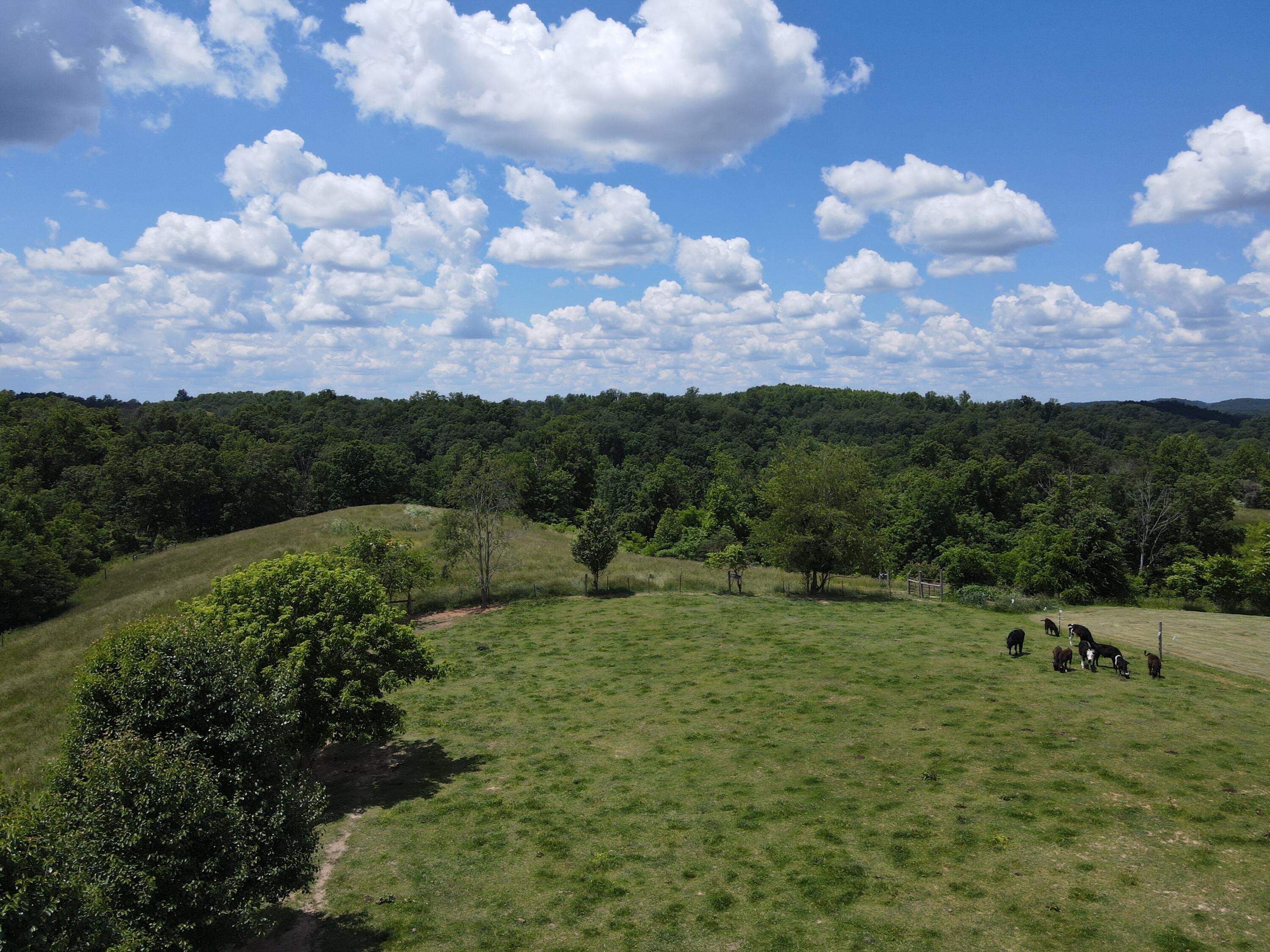 9999 Chestnut Grove Road Brodhead, KY 40409 - Photo 56 of 67 D9D0D8EB-787C-4682-AD30-36AED5BD640C