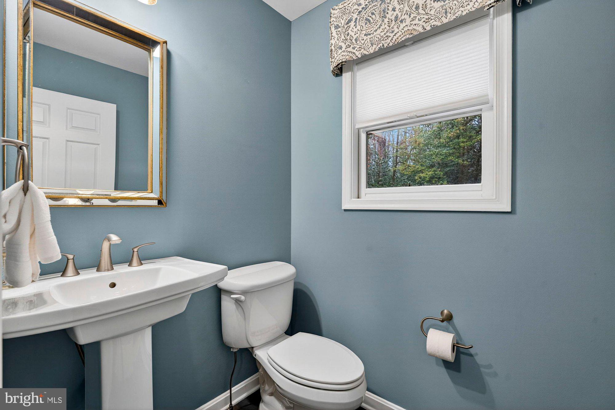 930 Park Street Vienna, VA 22180 - Photo 39 of 83 a bathroom with a toilet a sink and mirror