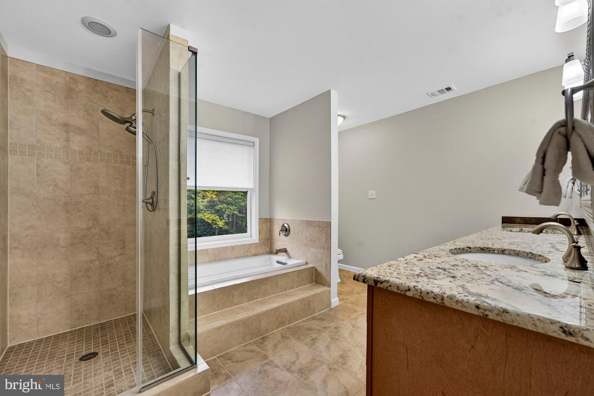 930 Park Street Vienna, VA 22180 - Photo 45 of 83 a bathroom with a granite countertop sink and a mirror