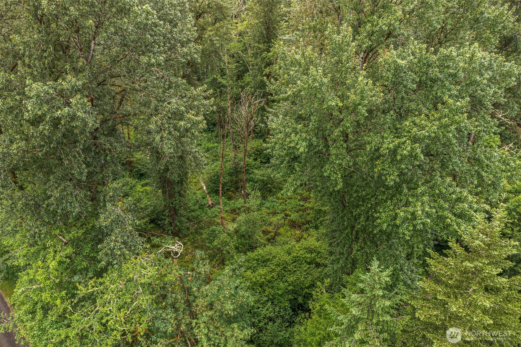 -xxx Harmony Road Mossyrock, WA 98564 - Photo 7 of 19