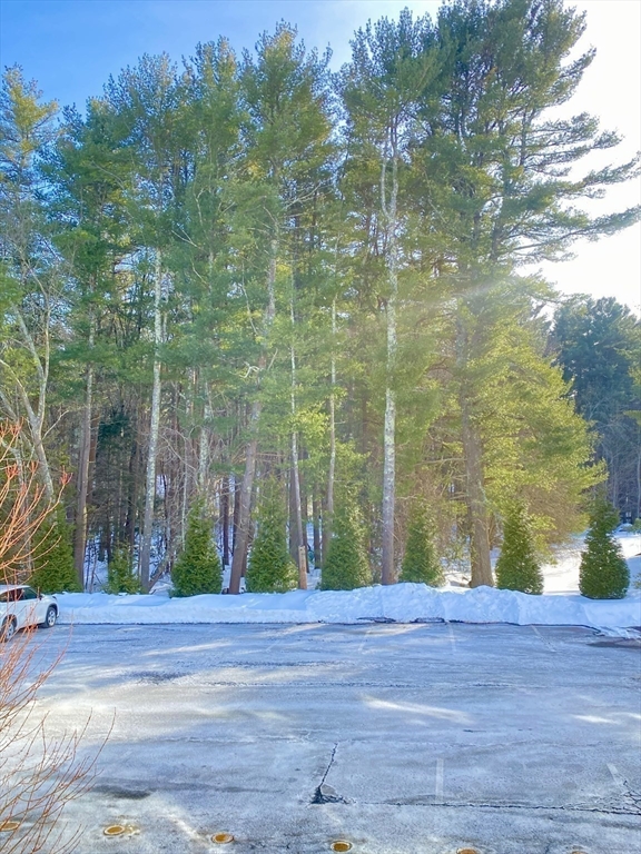 635 Old Post Road, Unit 2203 Sharon, MA 02067 - Photo 35 of 40 a view of a backyard of the house