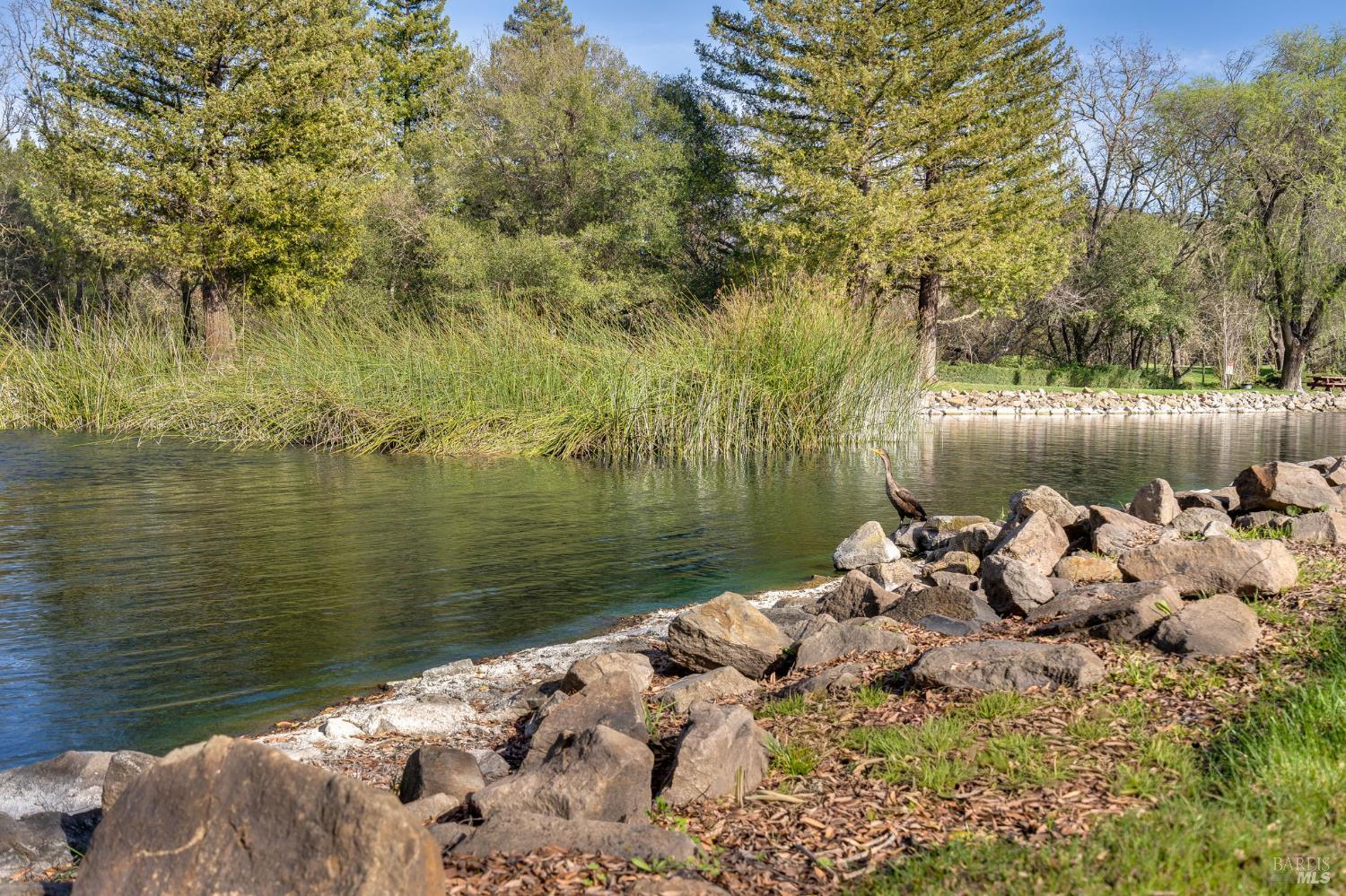 2322 Lakeview Drive Santa Rosa, CA 95405 - Photo 43 of 47