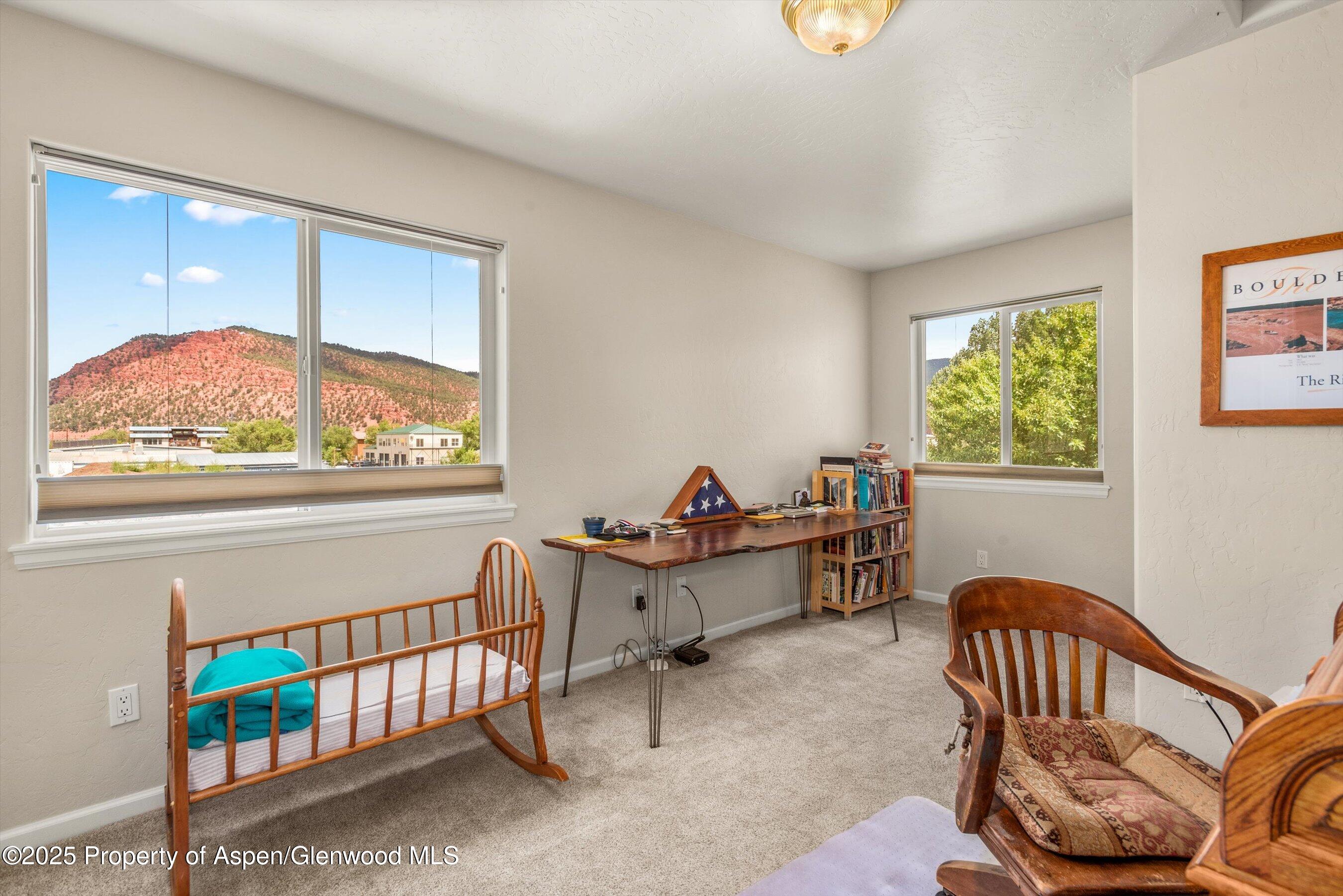 1070 Village Road Carbondale, CO 81623 - Photo 26 of 30 a bedroom with furniture and a window