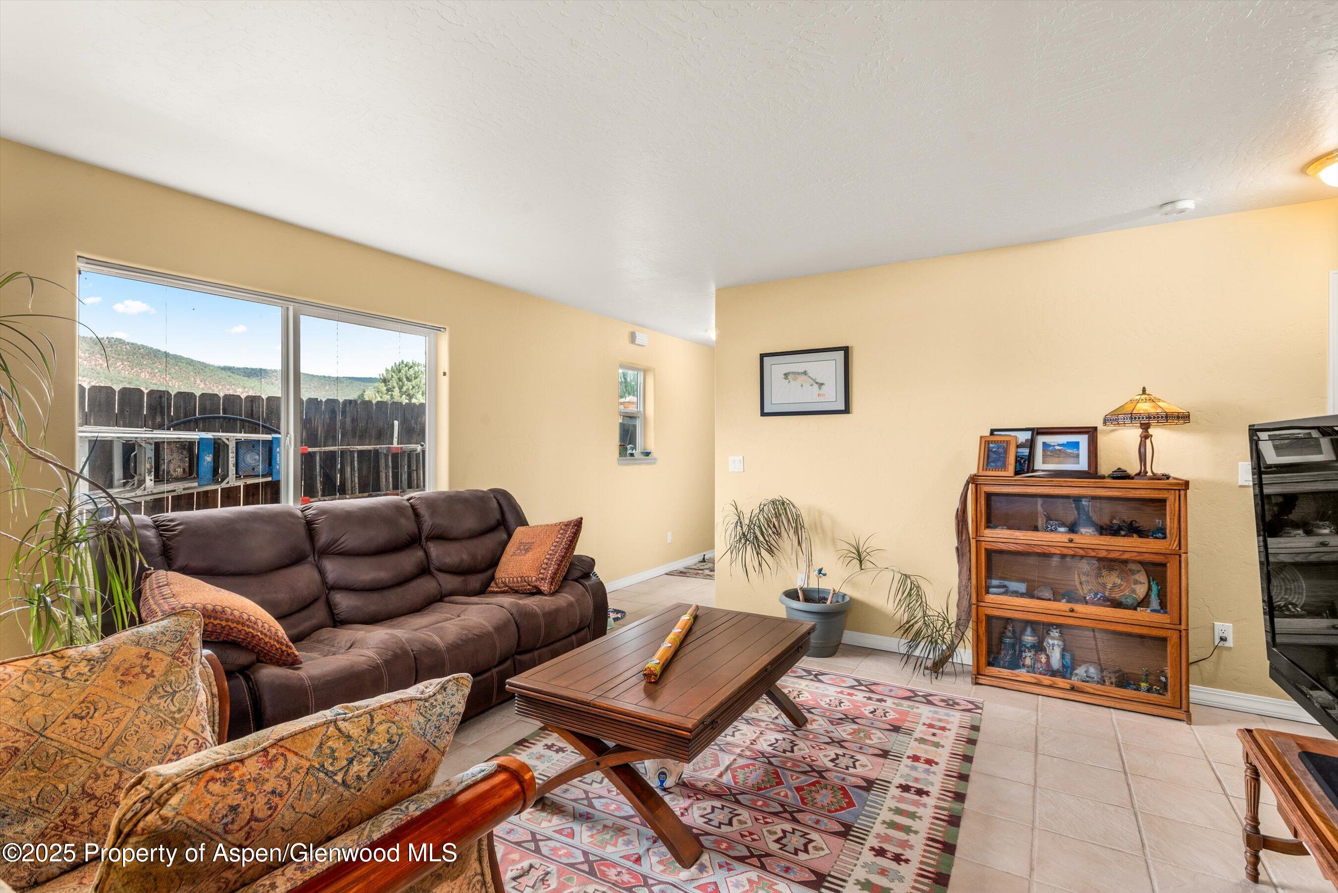 1070 Village Road Carbondale, CO 81623 - Photo 5 of 30 a living room with furniture and a book shelf