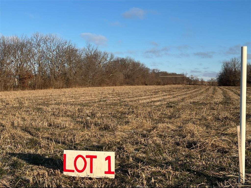 33602 East Pink Hill Road Grain Valley, MO 64029 - Photo 5 of 5