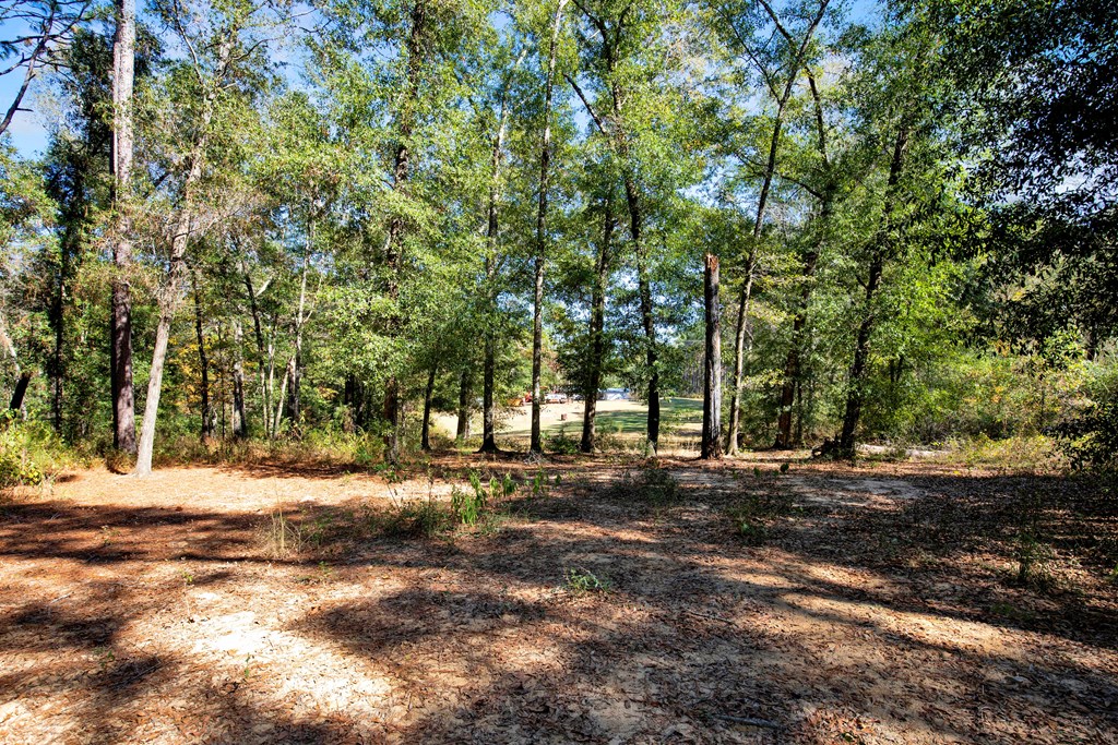 975 Webb To Kinsey Road Webb, AL 36376 - Photo 17 of 56
