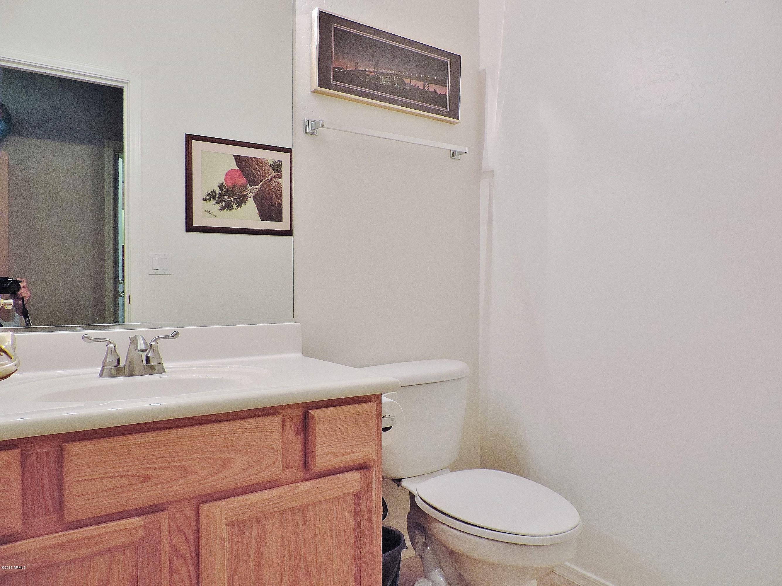 152 West Hawk Way Chandler, AZ 85286 - Photo 16 of 27 17 Bath 3