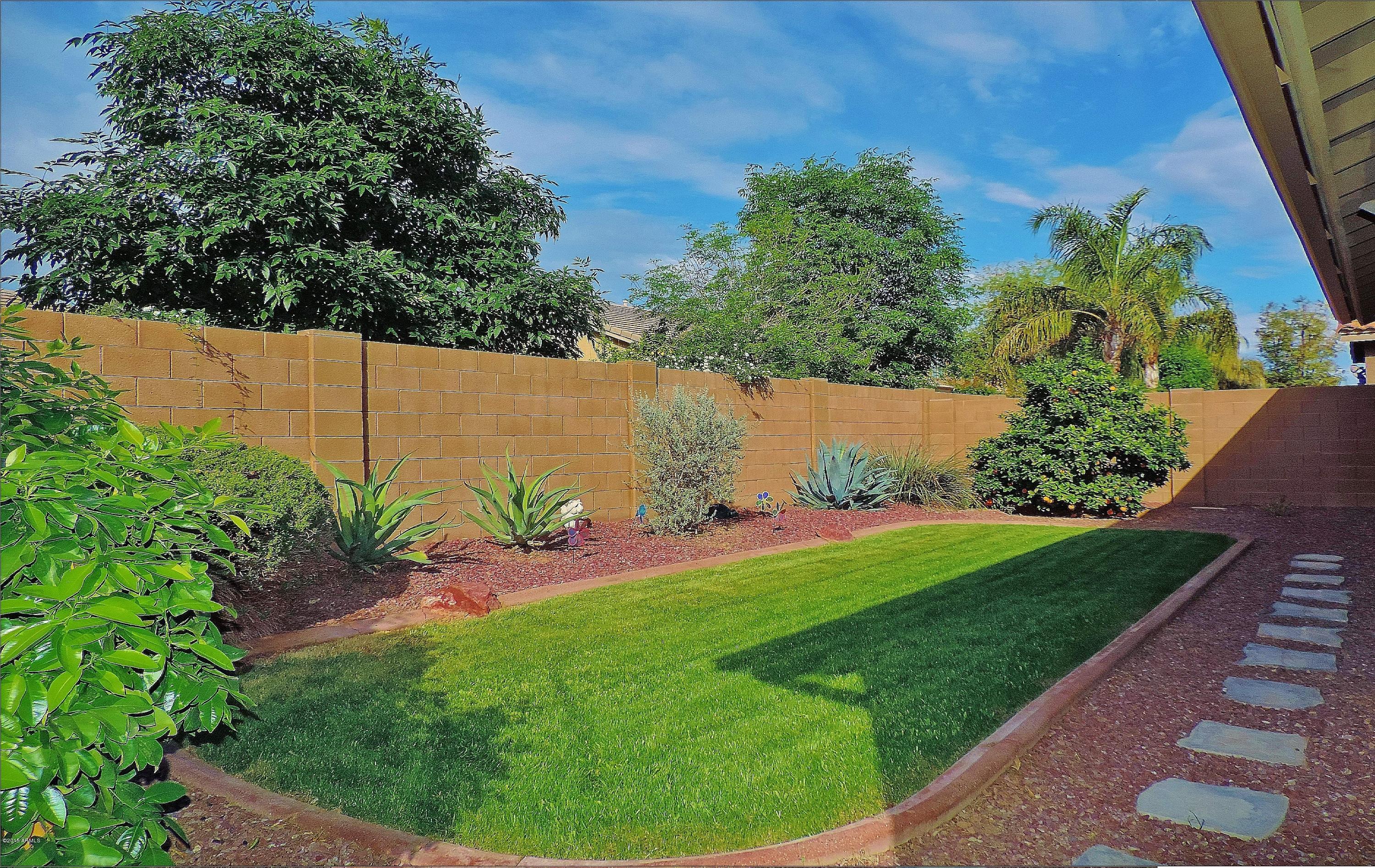 152 West Hawk Way Chandler, AZ 85286 - Photo 22 of 27 23 Yard 1