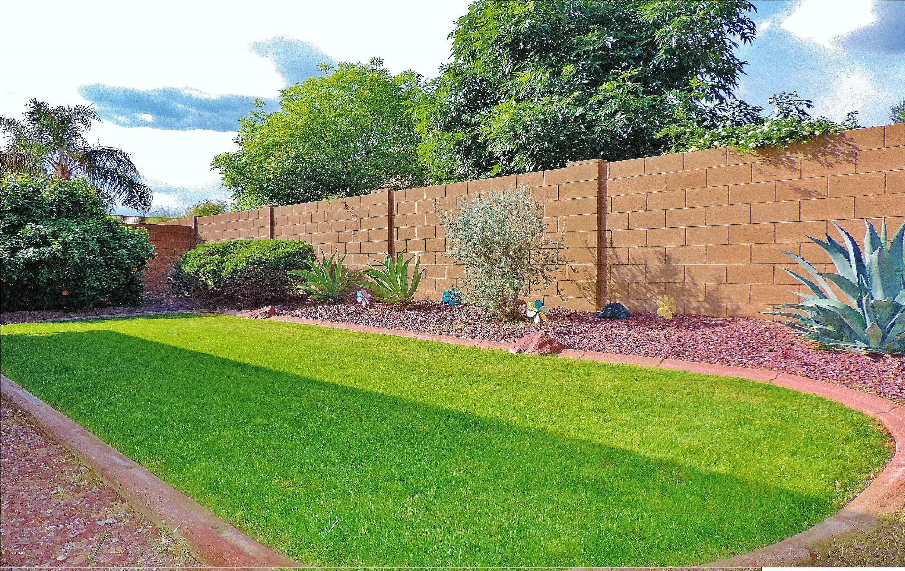152 West Hawk Way Chandler, AZ 85286 - Photo 23 of 27 24 Yard 2