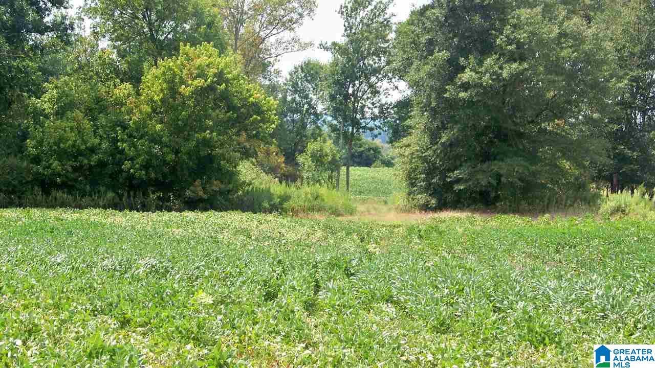 Hanson Road, Unit 33 Horton, AL 35980 - Photo 9 of 9