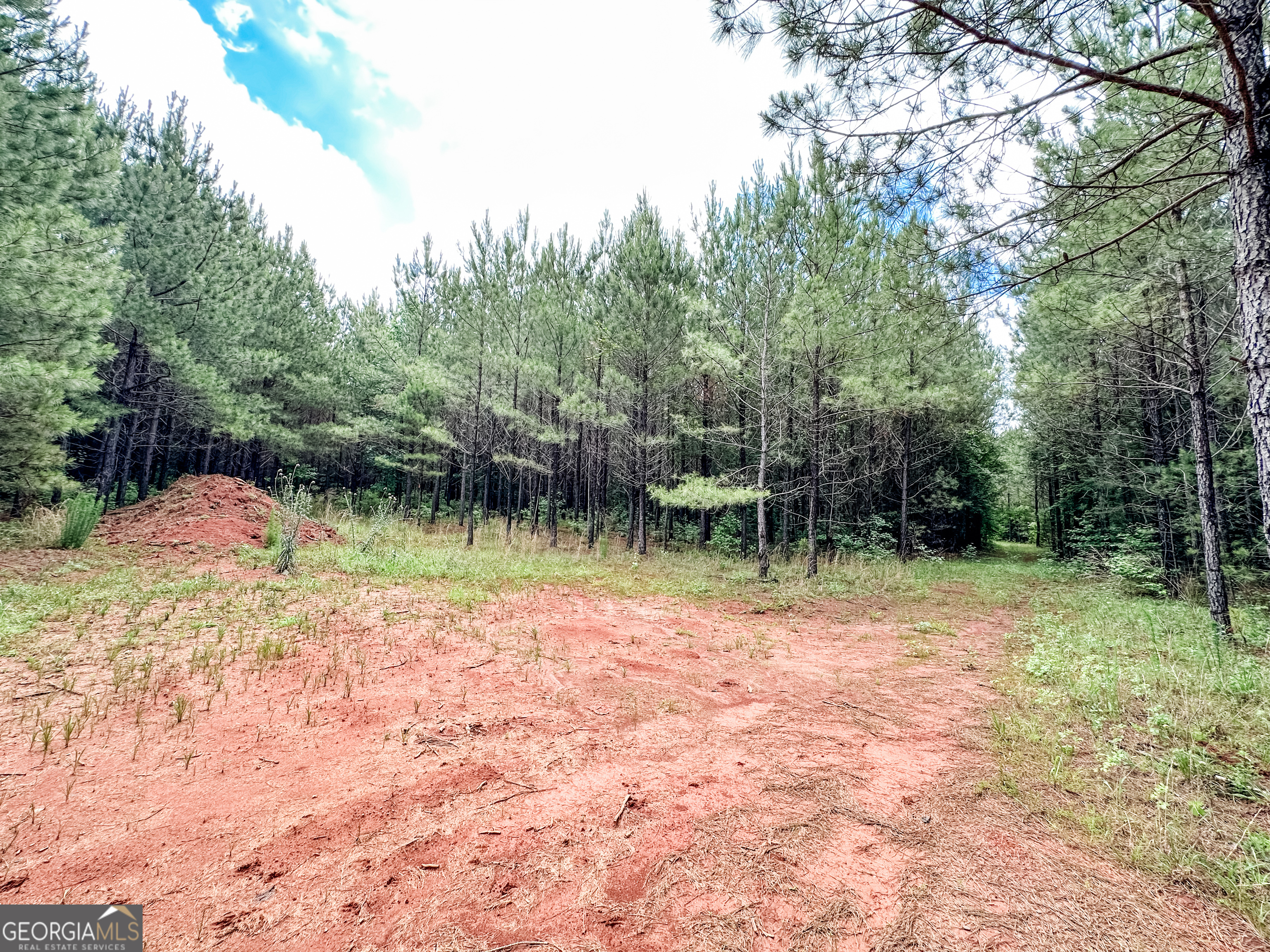 52.4-acres Goolsby Road, Unit 52 4 ACRES Monticello, GA 31064 - Photo 17 of 25