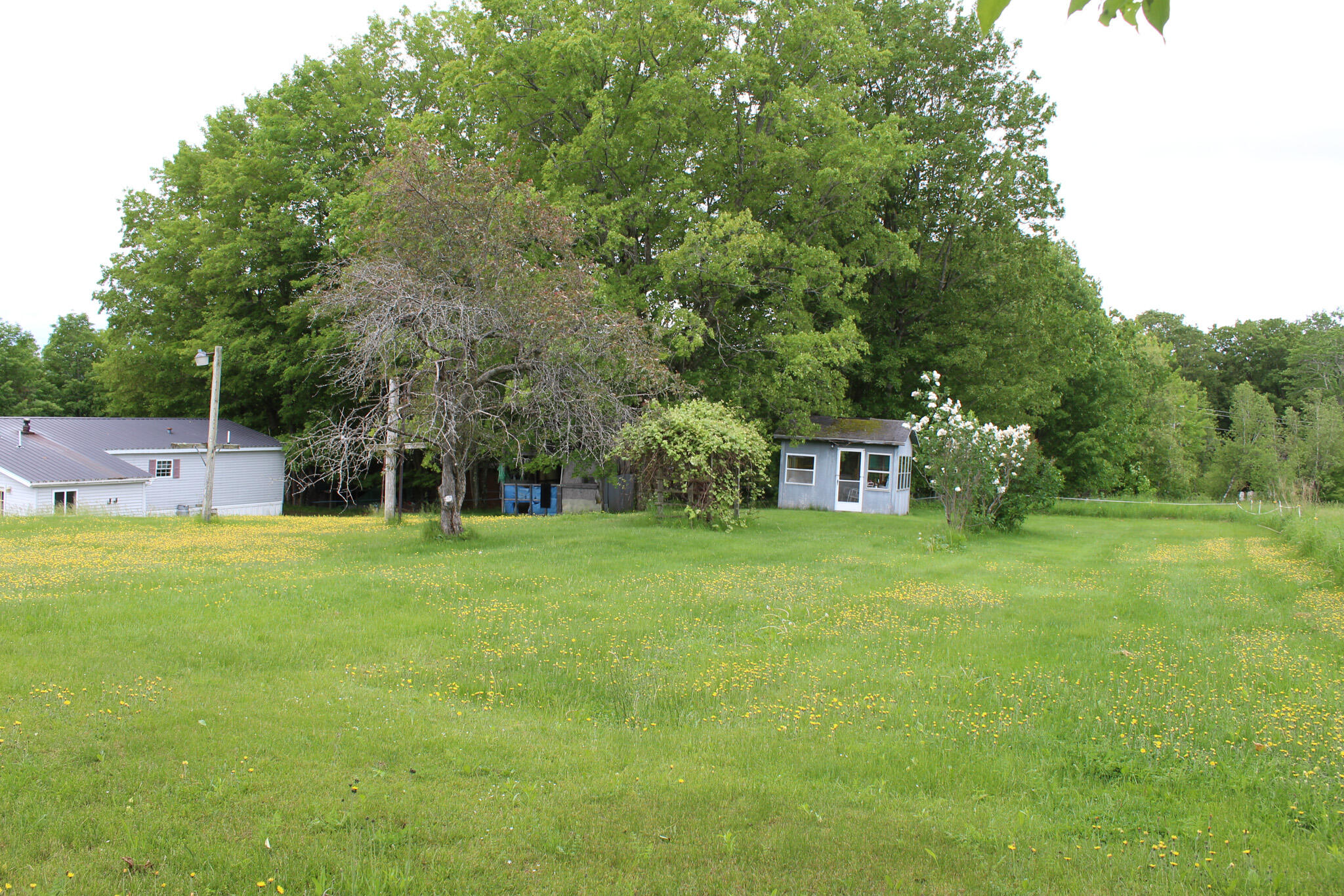 12 Haines Corner Road Livermore Falls, ME 04254 - Photo 18 of 24 IMG_1293