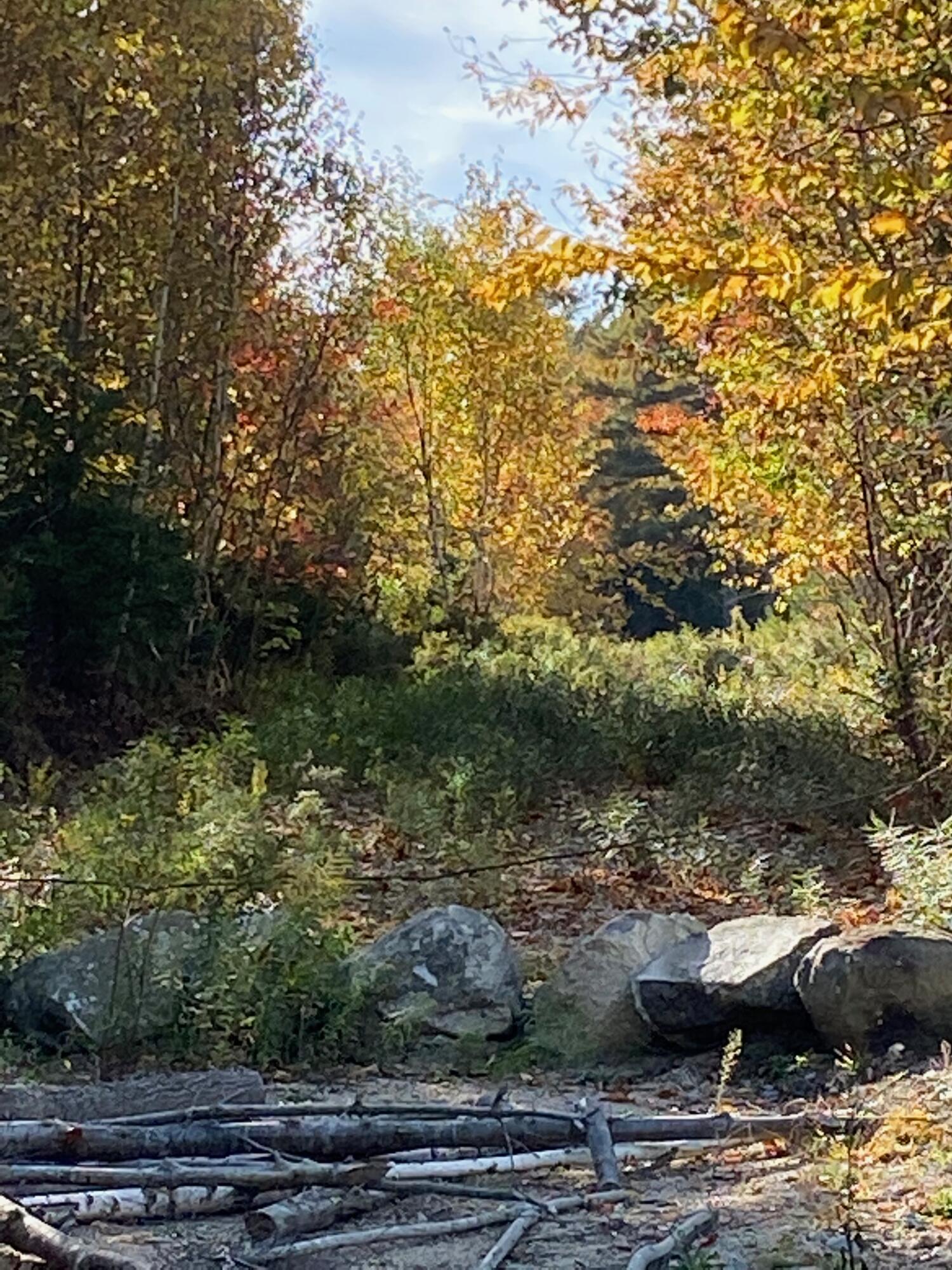 0 South Bay Road Franklin, ME 04634 - Photo 3 of 15 IMG_0436