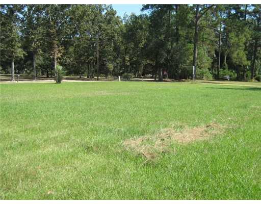 44606 C B Smith Road Hammond, LA 70403 - Photo 7 of 7 Gallery Image 7