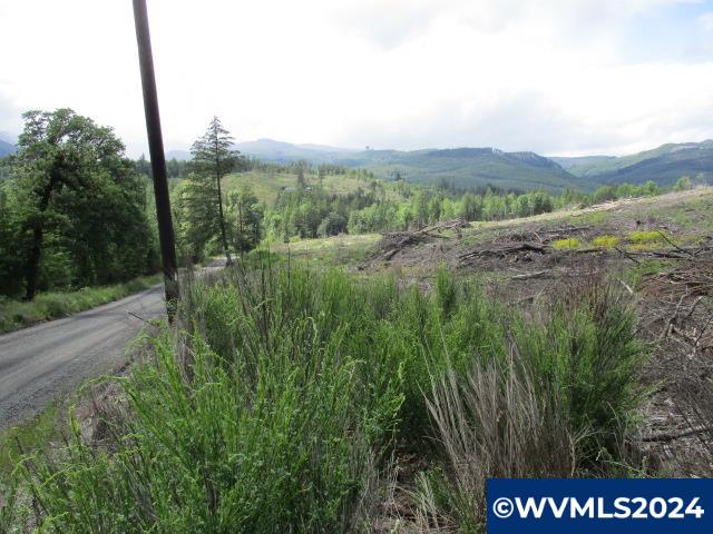 0 Northwest Fairdale Road Yamhill, OR 97148 - Photo 21 of 27