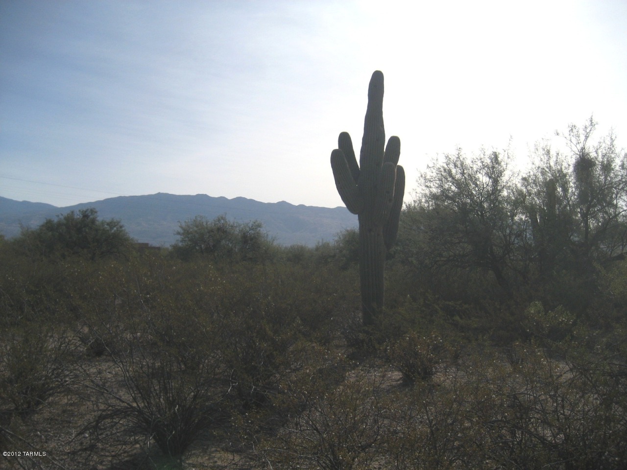 11210 East Tanque Verde Road, Unit 4 Tucson, AZ 85749 - Photo 4 of 5