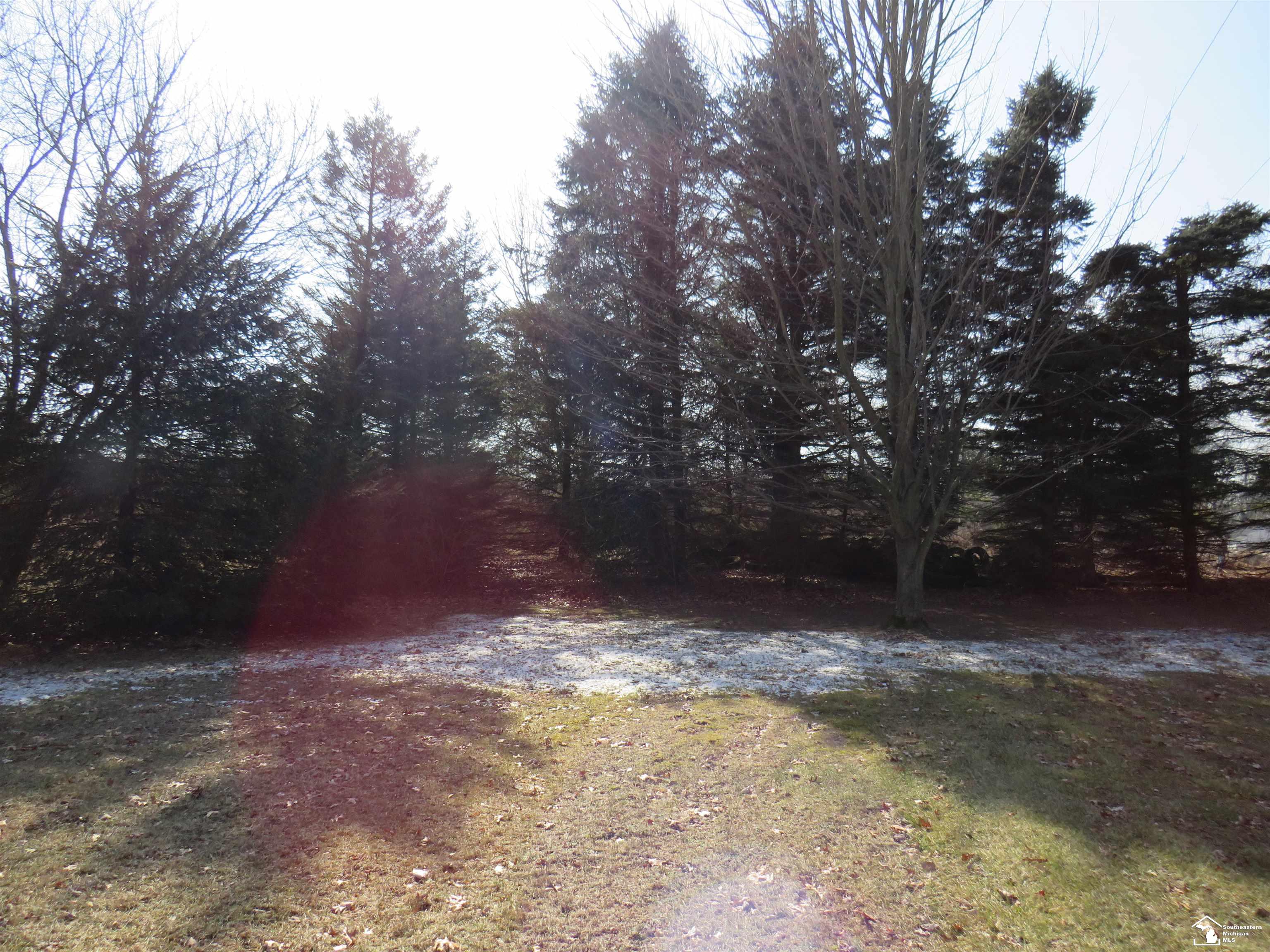4903 Wells Road Petersburg, MI 49270 - Photo 38 of 39