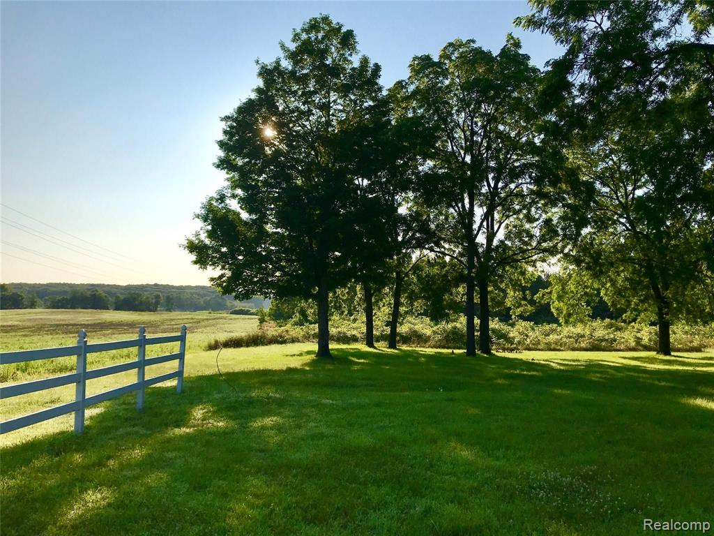 13725 Wilmore Road Stockbridge, MI 49285 - Photo 34 of 94