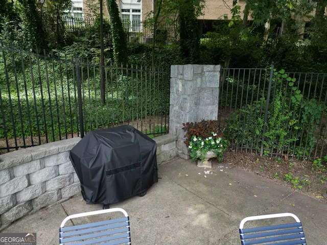 a view of a garden with plants