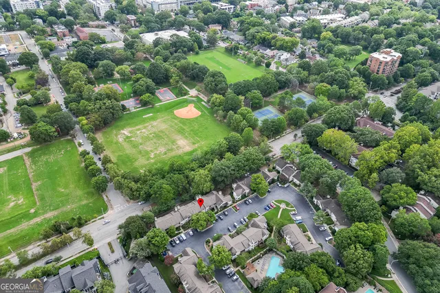 a view of backyard with potted plants and a large tree