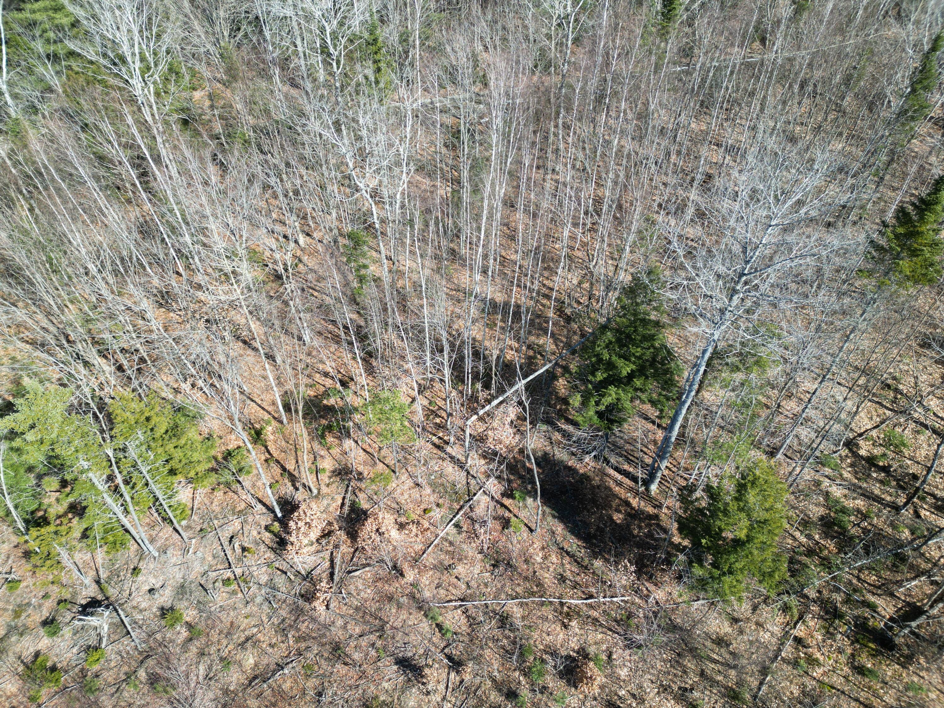 L-7 McGinley Road Springfield, ME 04487 - Photo 14 of 18 DJI_0887