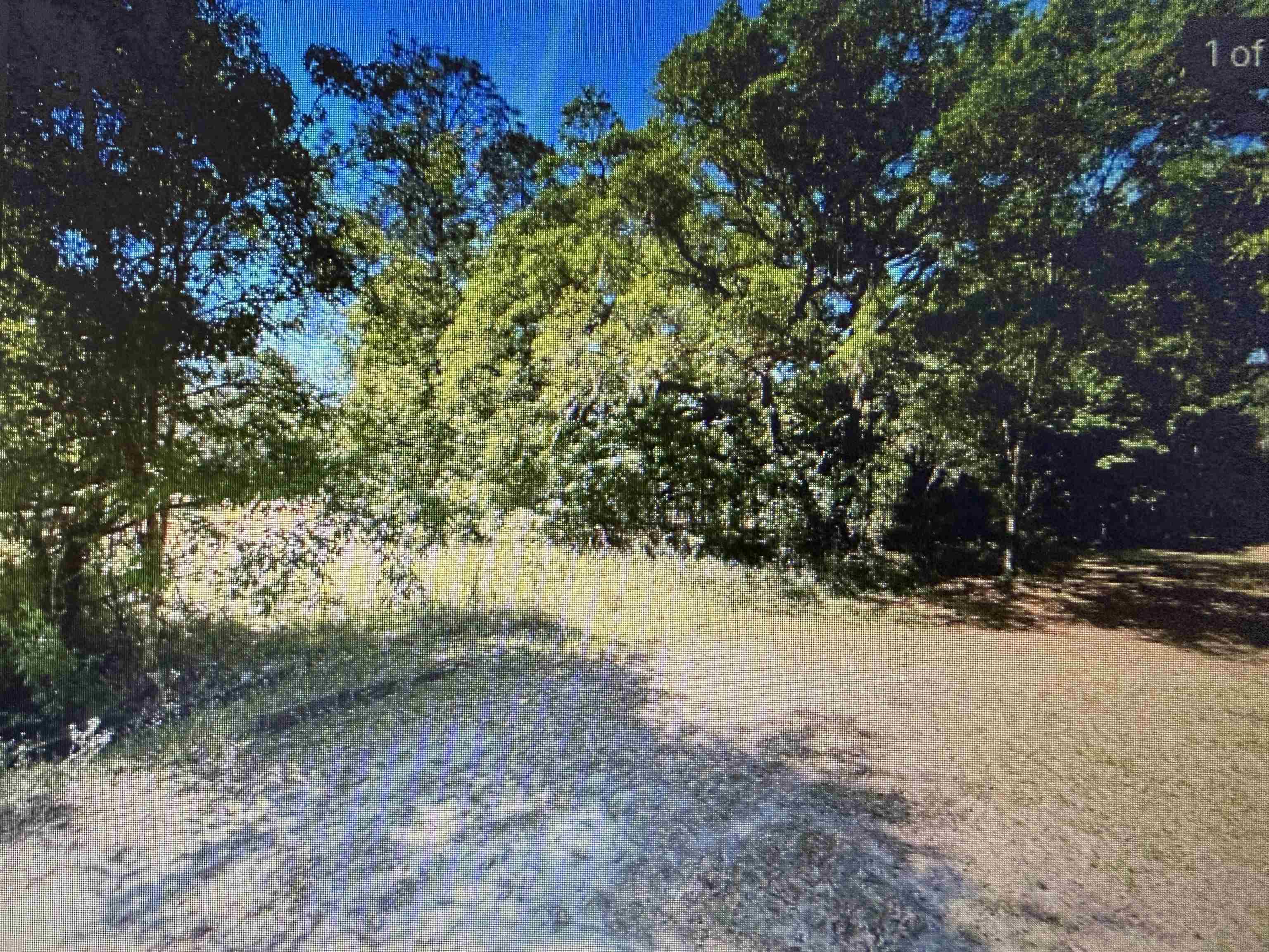 6121 Armstrong Road Elkton, FL 32033 - Photo 1 of 2 a view of a yard with a tree