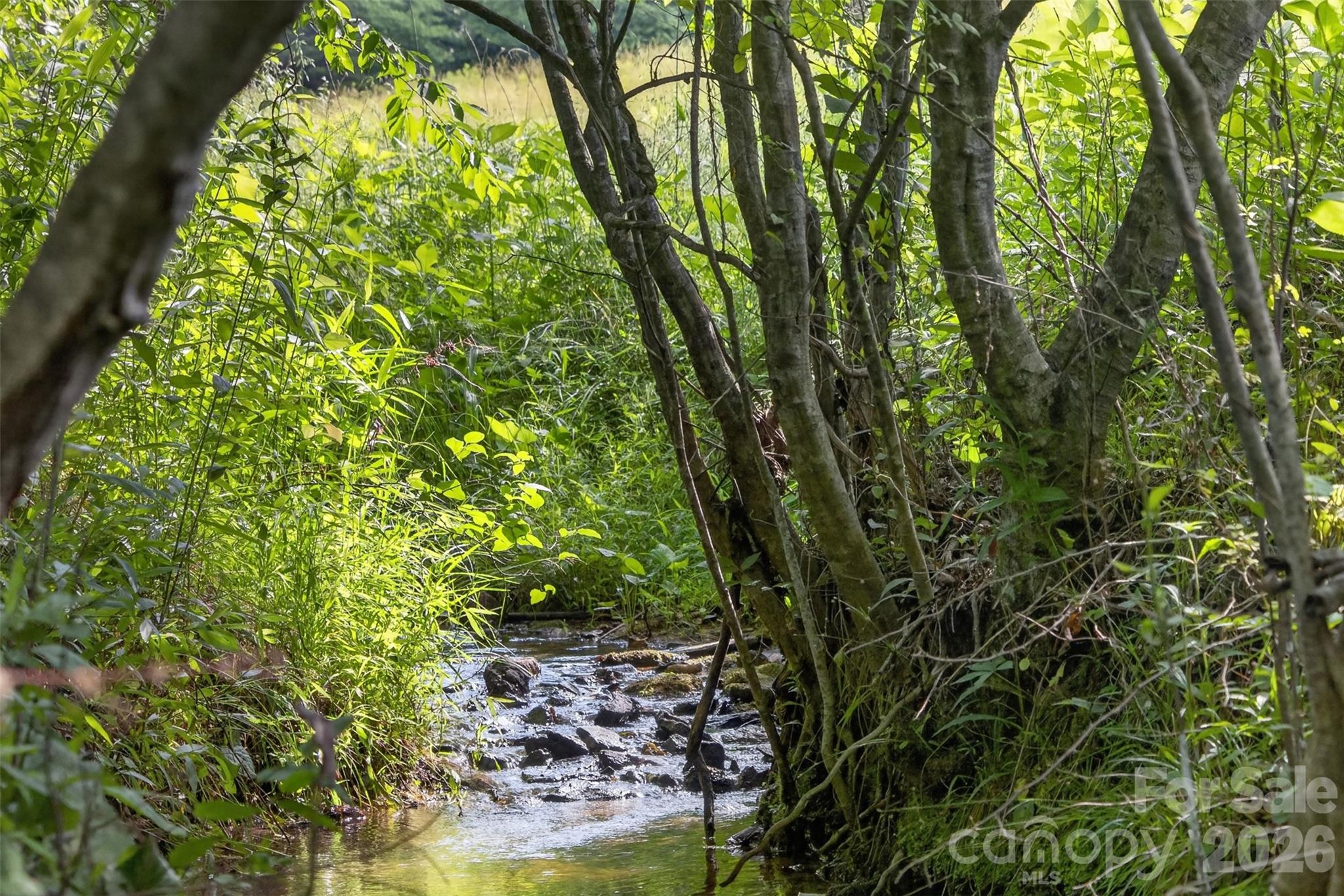 485 Frog Creek Road Union Mills, NC 28167 - Photo 17 of 44