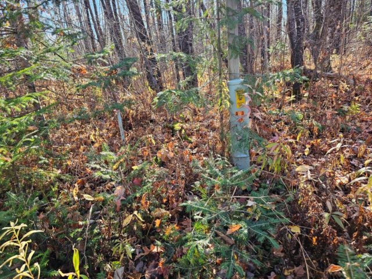 5913 North Adventures Trail Mercer, WI 54547 - Photo 5 of 15 Gallery Image 5
