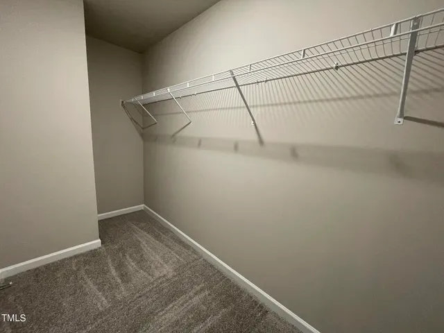 a view of a river and trees in the background