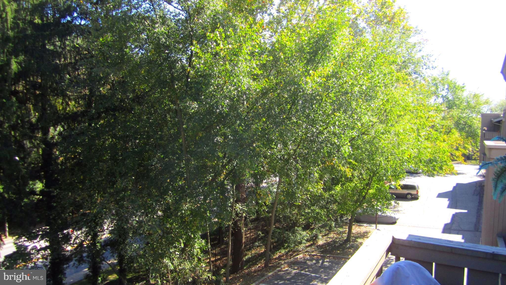110 Cross Keys Road, Unit R110F Baltimore, MD 21210 - Photo 21 of 30 a view of a yard