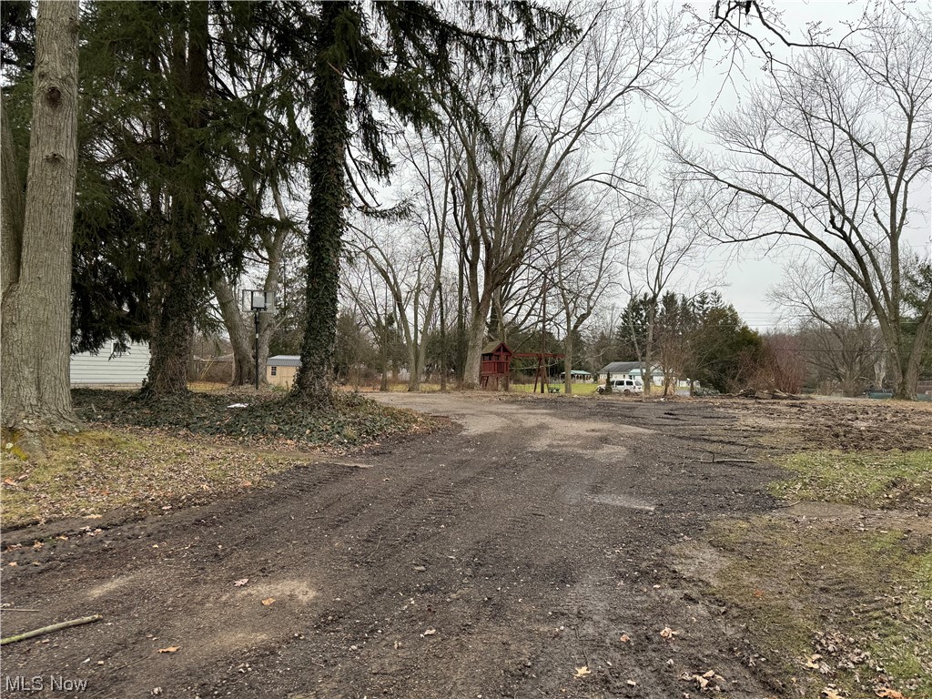 1585 Merle Road Salem, OH 44460 - Photo 3 of 3 View of road