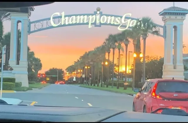 a view of a swimming pool with some plants