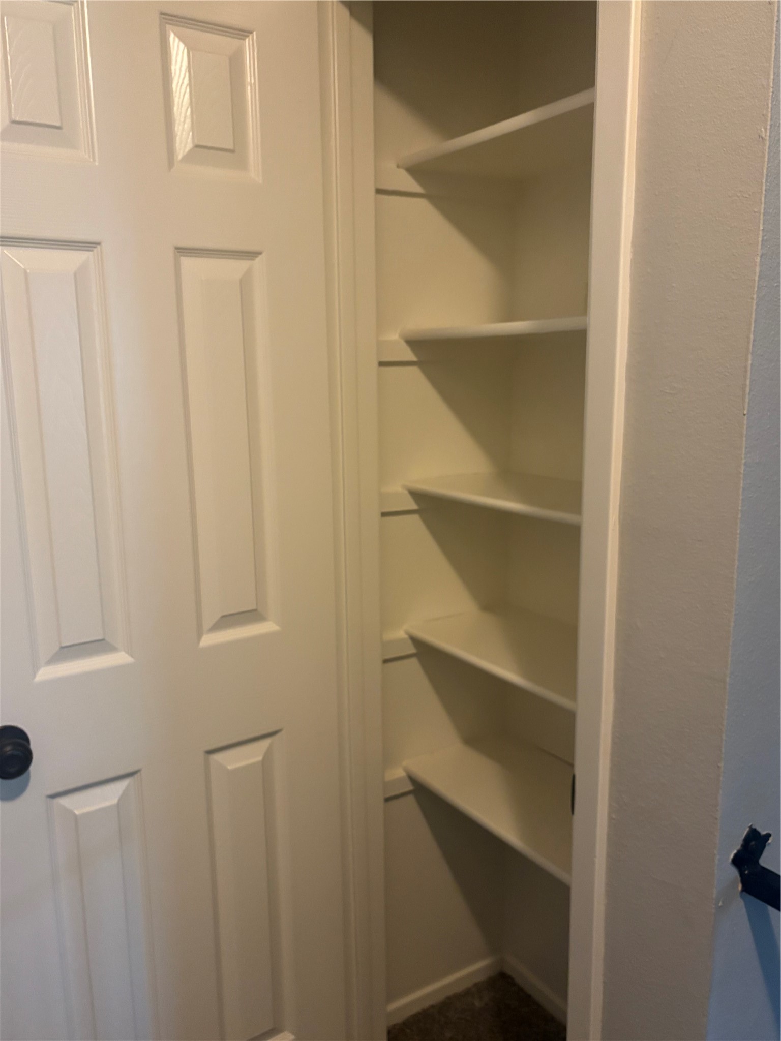 73 South Waxberry Road The Woodlands, TX 77381 - Photo 15 of 23 a view of walk in closet with empty racks
