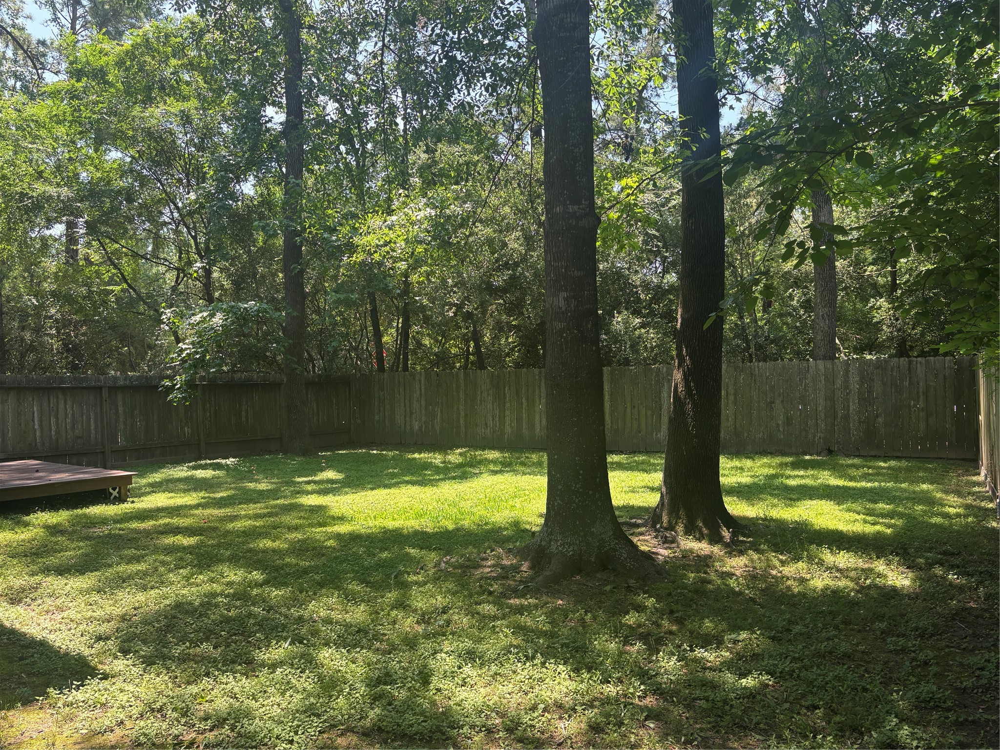 73 South Waxberry Road The Woodlands, TX 77381 - Photo 8 of 23 a view of a yard with a tree