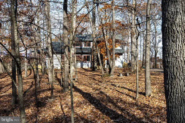 a view of a forest with a forest