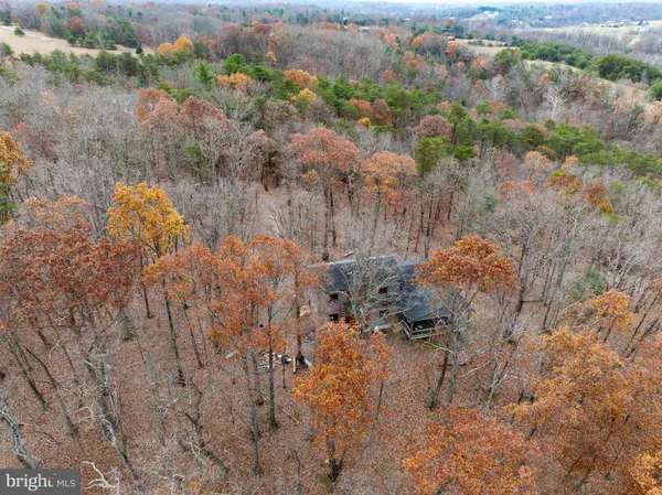 a close up of a plant in a garden